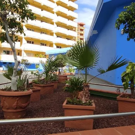 Primavera - Teneguia * Puerto de la Cruz (Tenerife)